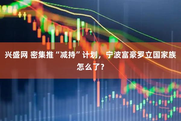 兴盛网 密集推“减持”计划，宁波富豪罗立国家族怎么了？