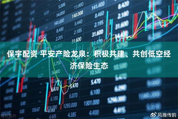 保宇配资 平安产险龙泉：积极共建、共创低空经济保险生态