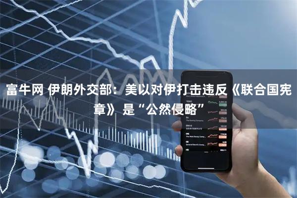 富牛网 伊朗外交部:美以对伊打击违反《联合国宪章》 是“公然侵略”
